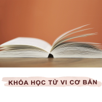 XEM THÊM 
